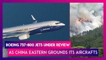 Boeing 737-800 Jets Under Review As China Eastern Grounds Its Aircrafts, Dgca Says 'Enhanced Surveillance' Of Such Fleets With Airlines In India