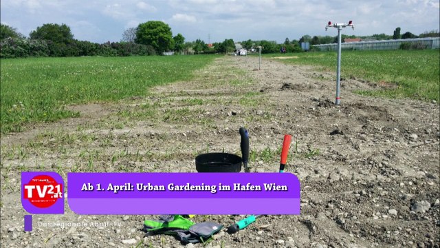 Ab 1. April Urban Gardening im Hafen Wien
