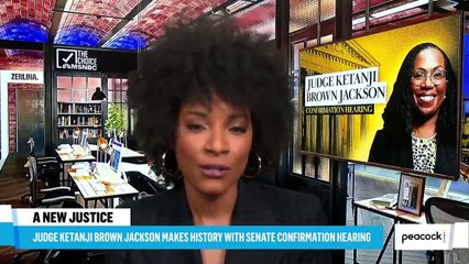 Hawley Tries To Smear Judge Brown Jackson  Zerlina.