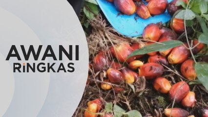 AWANI Ringkas: PM setuju tubuh kumpulan penasihat COVID-19 | Kerajaan yakin WTO akan berlaku adil