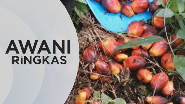 AWANI Ringkas: PM setuju tubuh kumpulan penasihat COVID-19 | Kerajaan yakin WTO akan berlaku adil