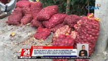 Kilo-kilong sibuyas sa Nueva Ecija, nabubulok at itinatapon na lang dahil sa mababang farm gate price | 24 Oras