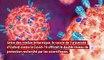 Coronavirus : Oxford aurait mis au point un vaccin très prometteur