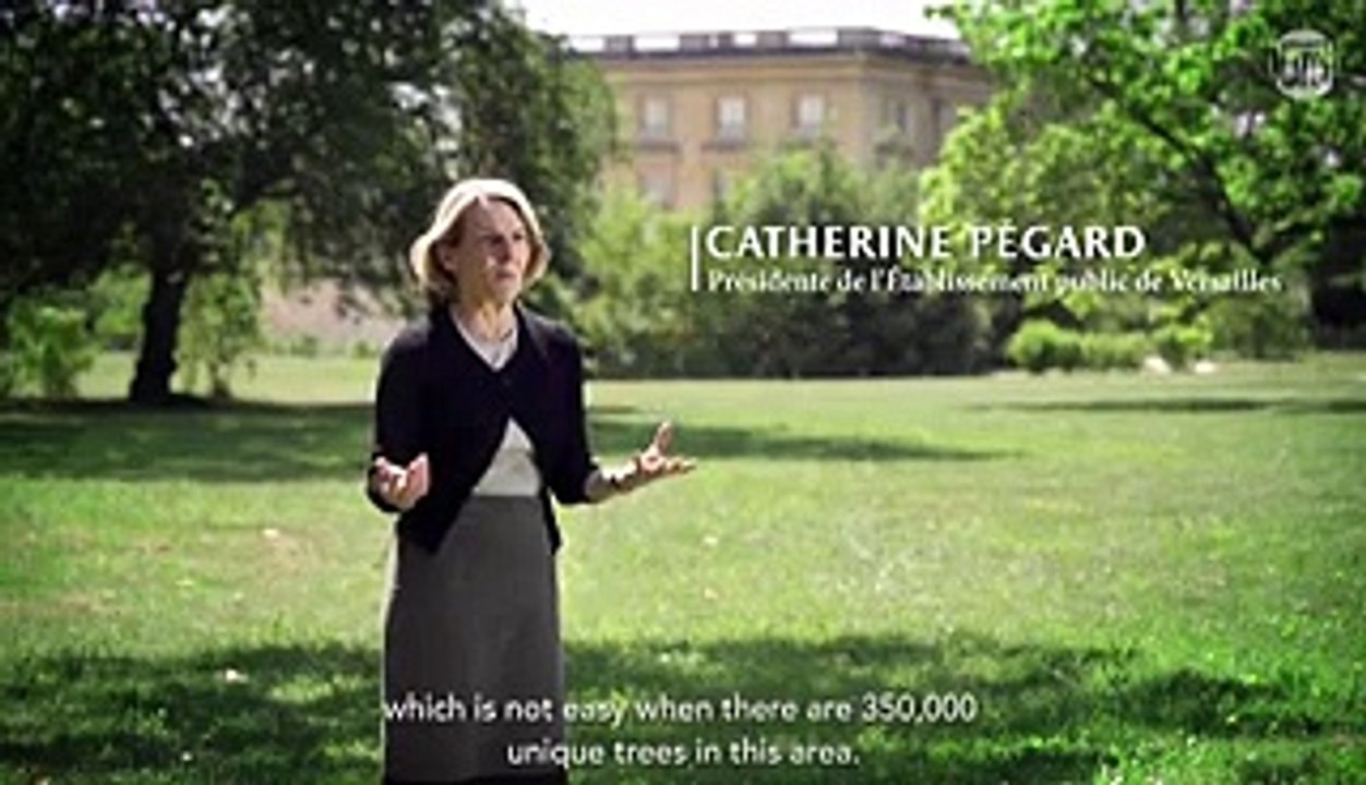 Versailles honore ses arbres admirables chargés d’histoire 