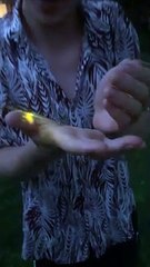 Man Encounters Firefly for the First Time
