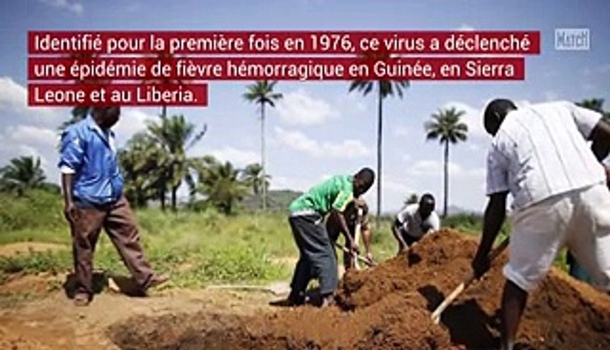 Au XXIe siècle, des épidémies moins meurtrières qu'au XXe siècle