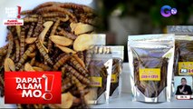 Dapat Alam Mo!: Superworms to chichaworms, kakasa ka ba sa exotic food na ito?