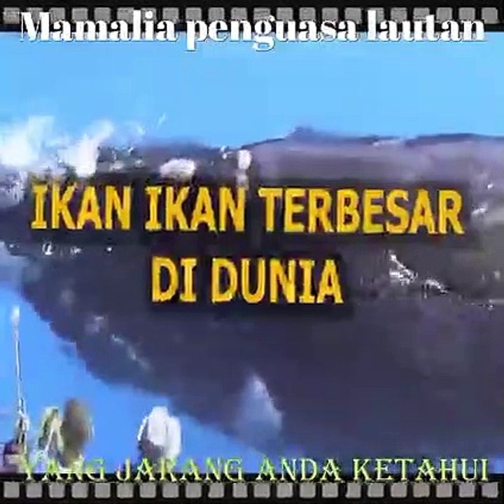Mamalia penguasa lautan