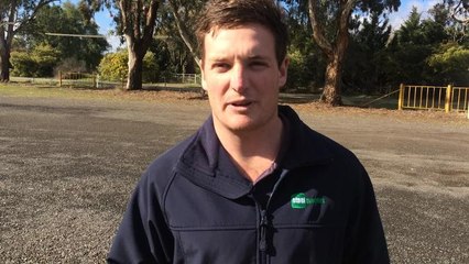 The Daily Advertiser - Mitch Robinson interview