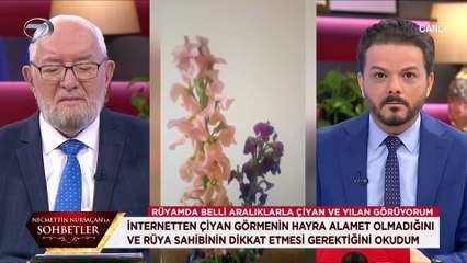 Rüyada çiyan ve yılan görmek ne anlama gelir? Necmettin Nursaçan açıklıyor