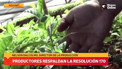 Productores respaldan la resolución 170