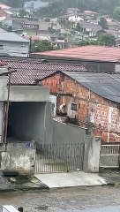 Vídeo de denúncia que mostra cachorro preso debaixo da chuva em Joinville