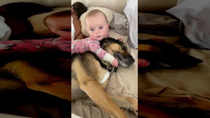 8-Month-Old and Dog Cuddle in Bed and Wake up Dad