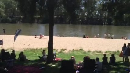 THE DAILY ADVERTISER - GUMI 2017