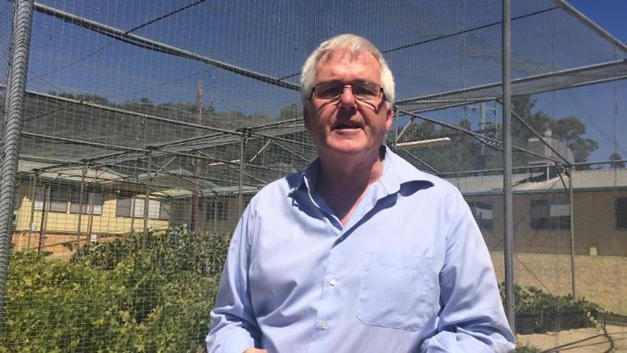 Tim Wess on CSU wines