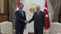 Cumhurbaşkanı Recep Tayyip Erdoğan, Hollanda Başbakanı Mark Rutte ile görüştü