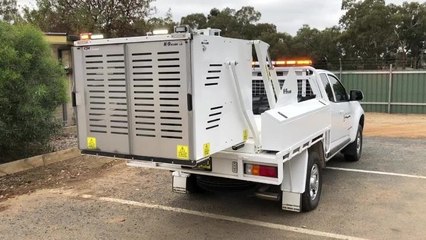 Daily Advertiser - Dog lifts for ranger vehicles