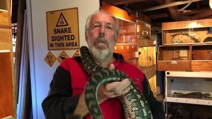 Wagga snake man Tony Davis