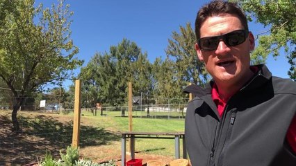 Wagga High School sensory garden