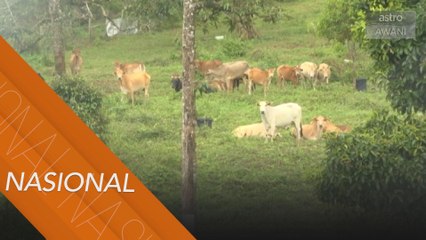 LPT2 | Pengguna harap pengurusan tingkat tahap keselamatan