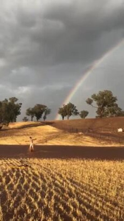 Cootamundra Herald  Rain Dance