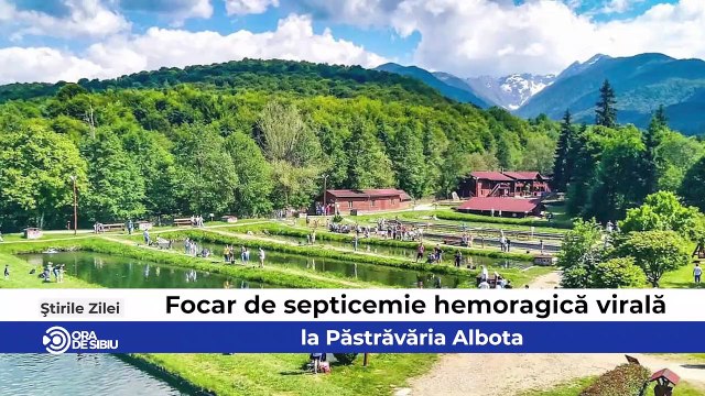 Știrile zilei la Sibiu - Focar de septicemie hemoragică virală la Păstrăvăria Albota , Încep reparațiile pe mai multe străzi din Sibiu şi DSP Sibiu a primit pastile de iodură de potasiu