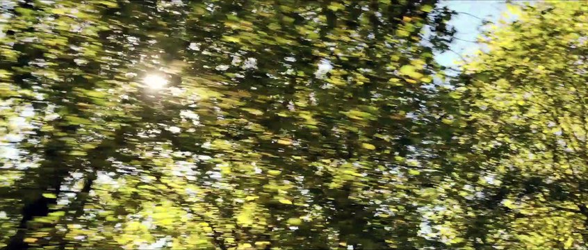 Bande-annonce : Claude Lelouch revient à Cannes avec Les plus belles années d'une vie