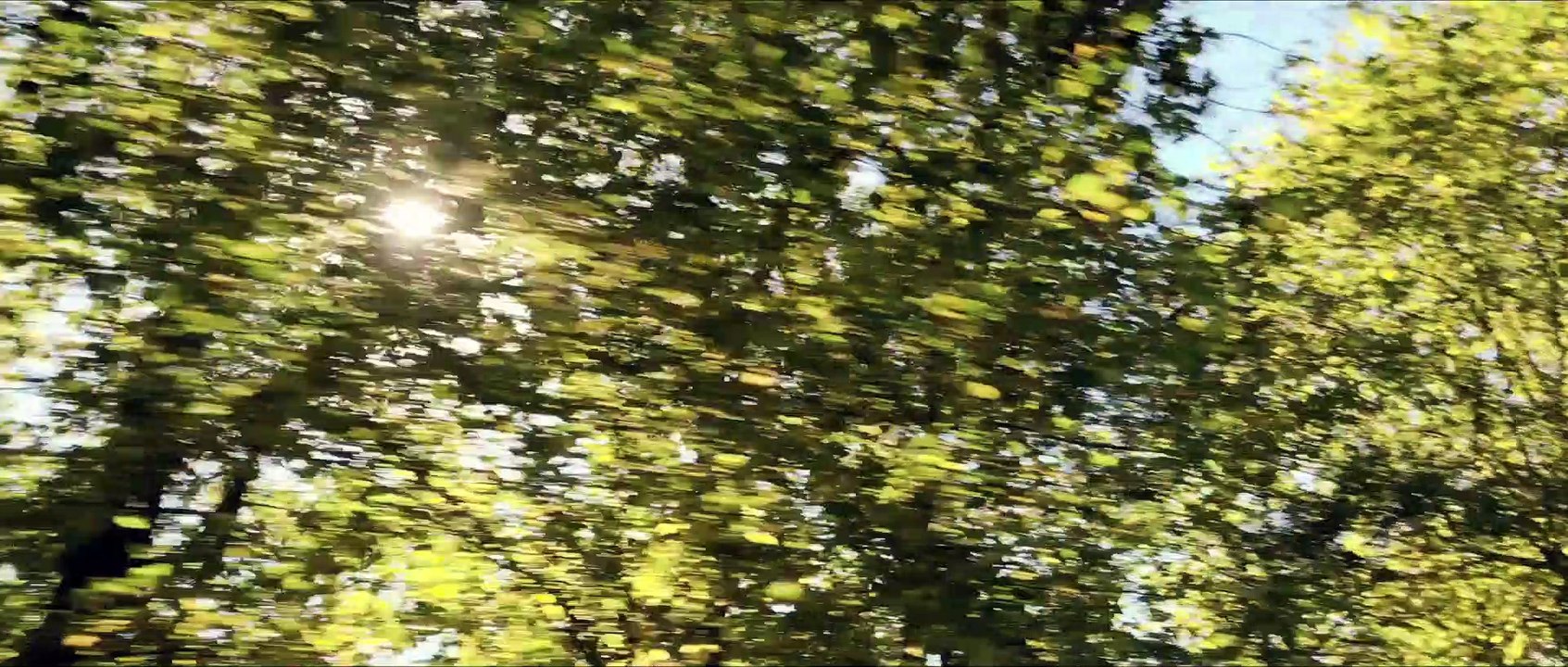 Bande-annonce : Claude Lelouch revient à Cannes avec "Les plus belles années d'une vie"