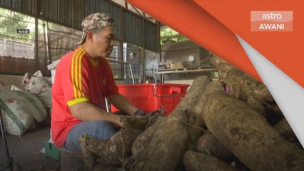 Sektor IKS | Kerajaan disaran fokus pada isu membelenggu IKS pasca COVID-19