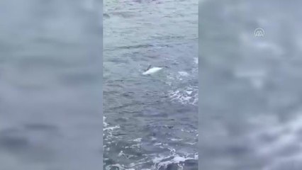 Son dakika haberi... Yunus ölümleriyle ilgili inceleme tamamlandı