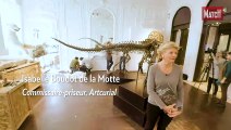 Un combat de dinosaures.... aux enchères