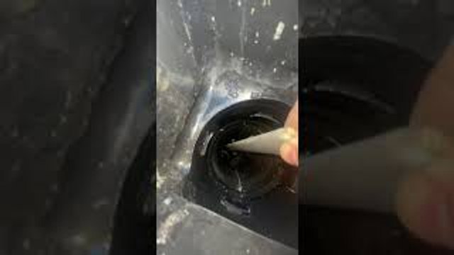 Home Improvement Woman Saves Bird From Rain Gutter