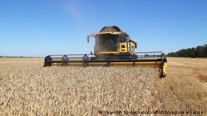 Wheat prices reaching new levels