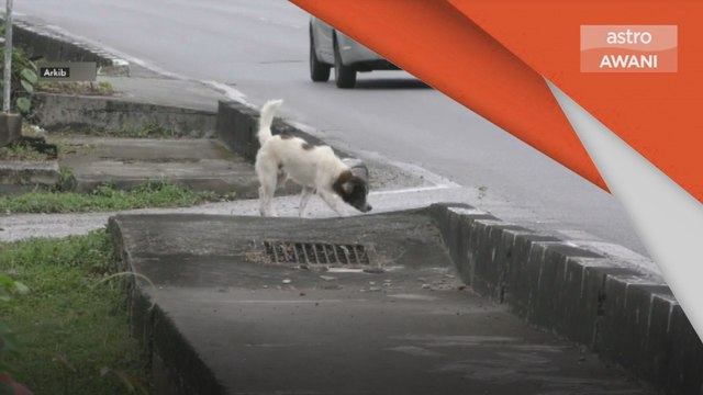 Banteras NTD | NTD tidak harus dipandang sepi