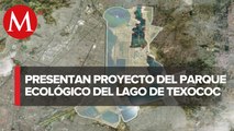 Parque ecológico del Lago de Texcoco, con avance de casi 25%