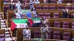 Podemos muestra banderas del Sáhara en el Congreso