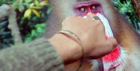 Secrets of Skin S01 E04