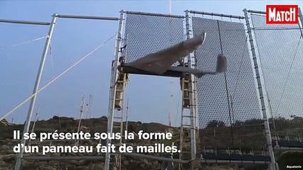 GREENTECH : Cloud Fisher : transformer le brouillard en eau potable