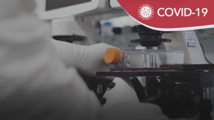 COVID-19 | Kesihatan awam perlu dipisahkan daripada politik