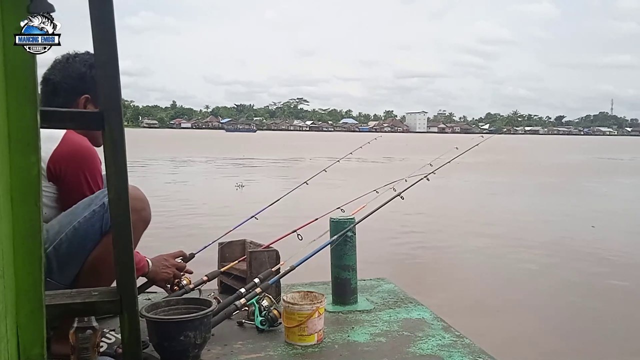 FISHING SHRIMP ON THE BARGE WAS NOT EXPECTED TO GET THIS FISH