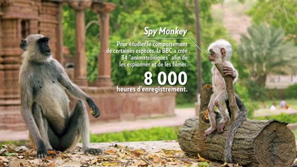 Ces robots animaux espionnent la nature