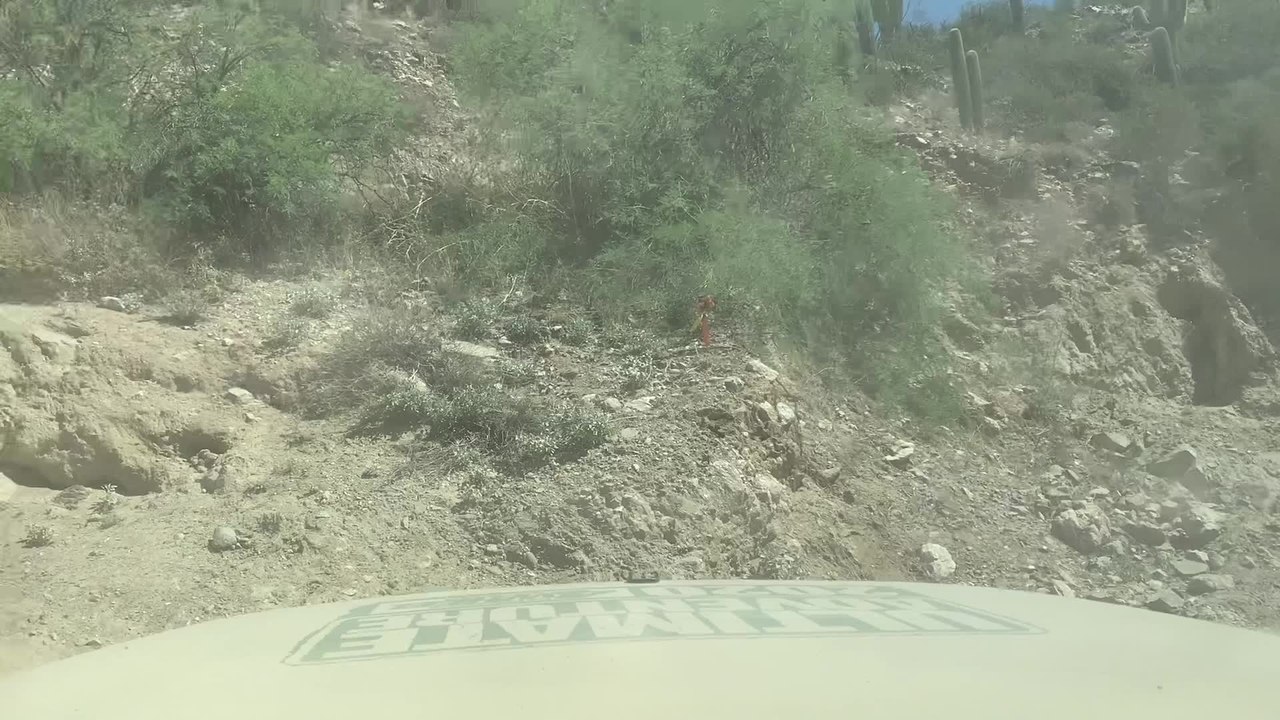 Centerforce Adventure Run part 1