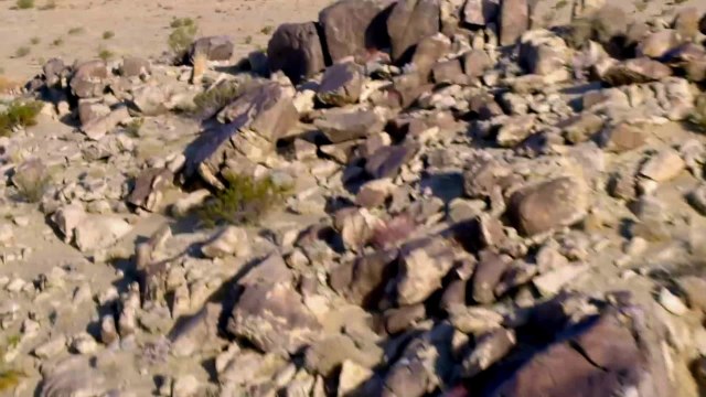 Ford Bronco 4600 Race Truck at KOH