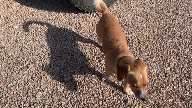 DIY WJ Grand Cherokee Long Arm Front Suspension