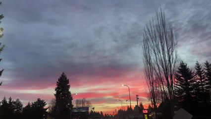 West Tiger Cable Line Trail Issaquah Seattle Washington