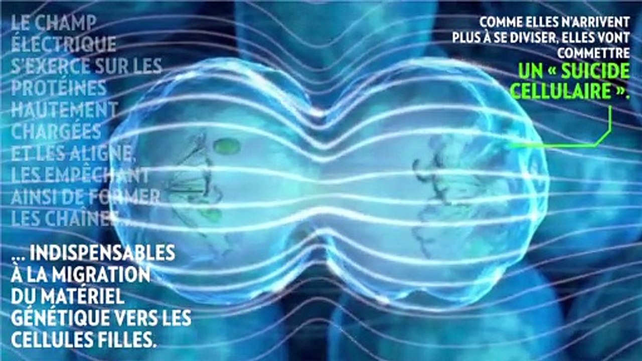 L’électricité à l’assaut du cancer