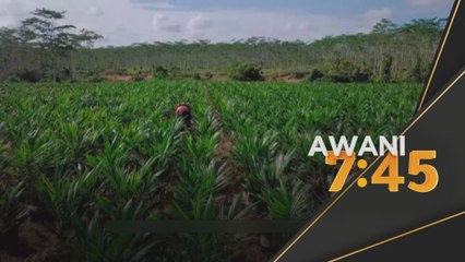 Komoditi | Tangani persepsi negatif, Sabah jadi contoh