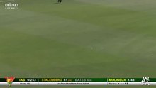Tasmania v Victoria WNCL highlights