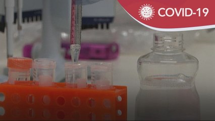 COVID-19 | Penyiasat sangkal teori virus dihasil di makmal