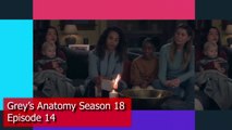 Greys Anatomy Season 18 Episode 14 Promo & Spoilers (HD) _ Preview, ABC TV, 18x09 Trailer, Season 19